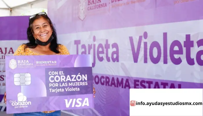 Programa de la Tarjeta Violeta 2024: Apoyo Económico para Mujeres en Vulnerabilidad